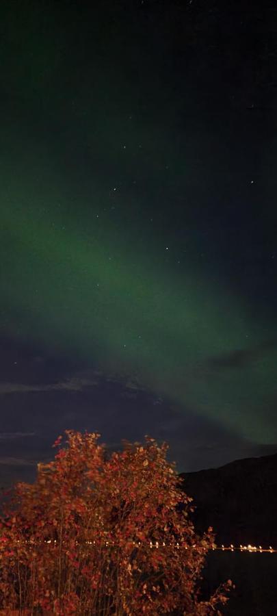 Apartmán Aurora Dream Svensby Exteriér fotografie